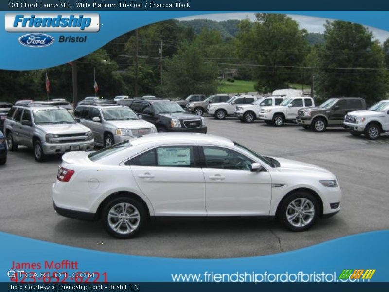 White Platinum Tri-Coat / Charcoal Black 2013 Ford Taurus SEL