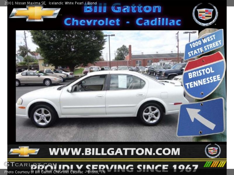Icelandic White Pearl / Blond 2001 Nissan Maxima SE