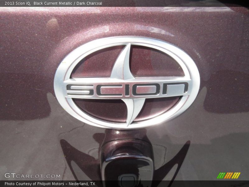 Black Current Metallic / Dark Charcoal 2013 Scion iQ
