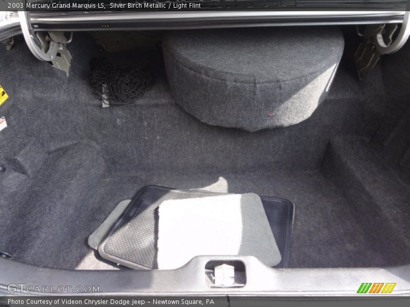 Silver Birch Metallic / Light Flint 2003 Mercury Grand Marquis LS