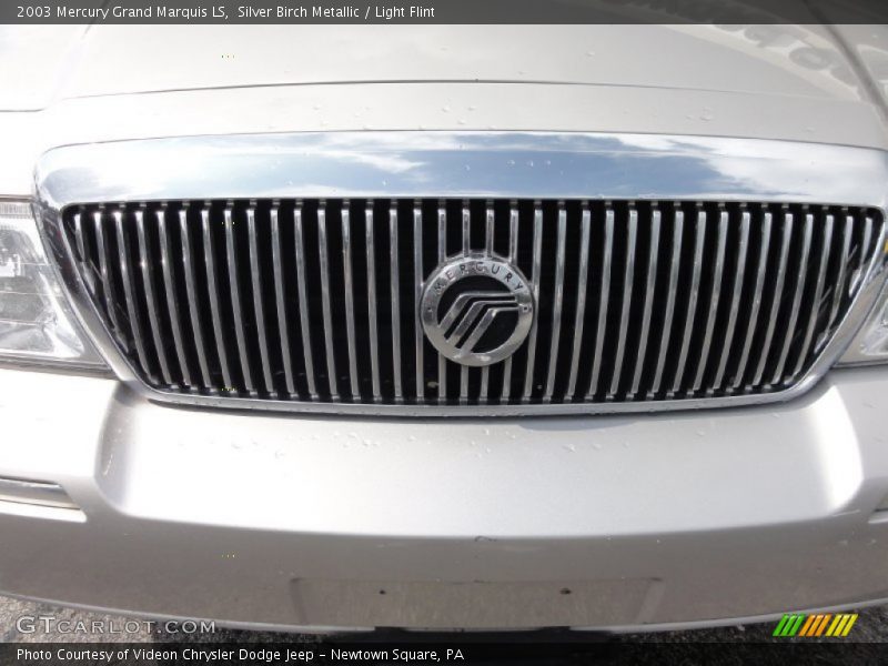Silver Birch Metallic / Light Flint 2003 Mercury Grand Marquis LS