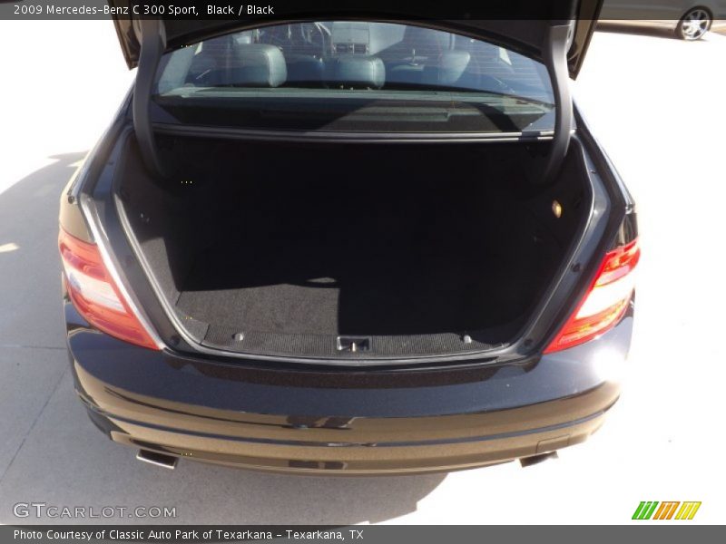 Black / Black 2009 Mercedes-Benz C 300 Sport