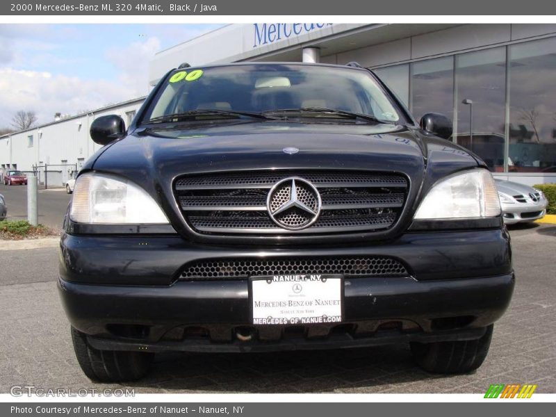 Black / Java 2000 Mercedes-Benz ML 320 4Matic