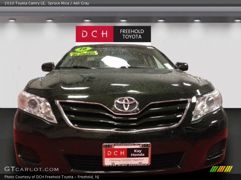 Spruce Mica / Ash Gray 2010 Toyota Camry LE