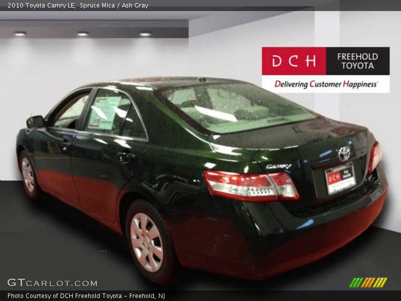 Spruce Mica / Ash Gray 2010 Toyota Camry LE