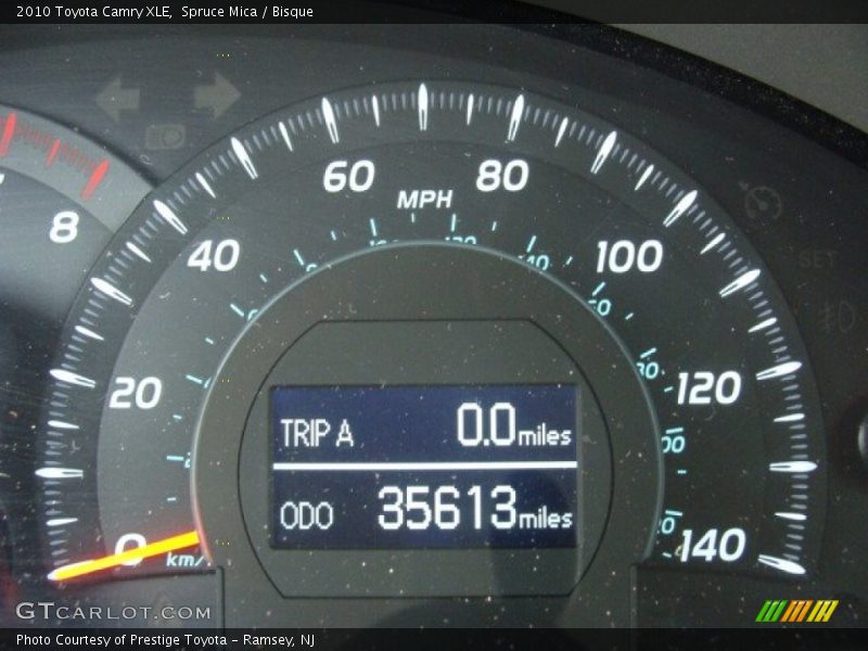 Spruce Mica / Bisque 2010 Toyota Camry XLE