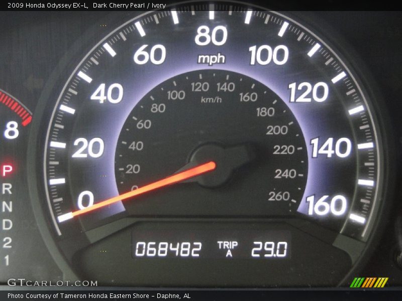 Dark Cherry Pearl / Ivory 2009 Honda Odyssey EX-L