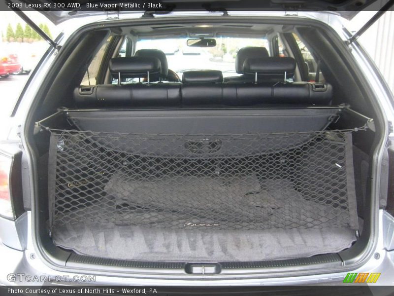 Blue Vapor Metallic / Black 2003 Lexus RX 300 AWD