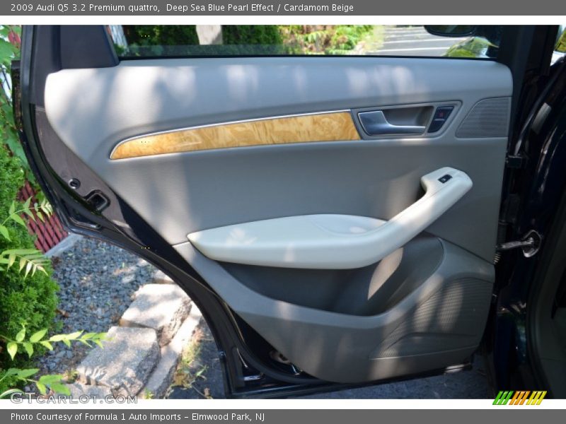 Door Panel of 2009 Q5 3.2 Premium quattro