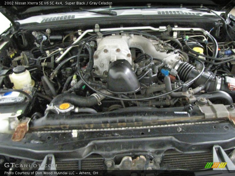 Super Black / Gray Celadon 2002 Nissan Xterra SE V6 SC 4x4