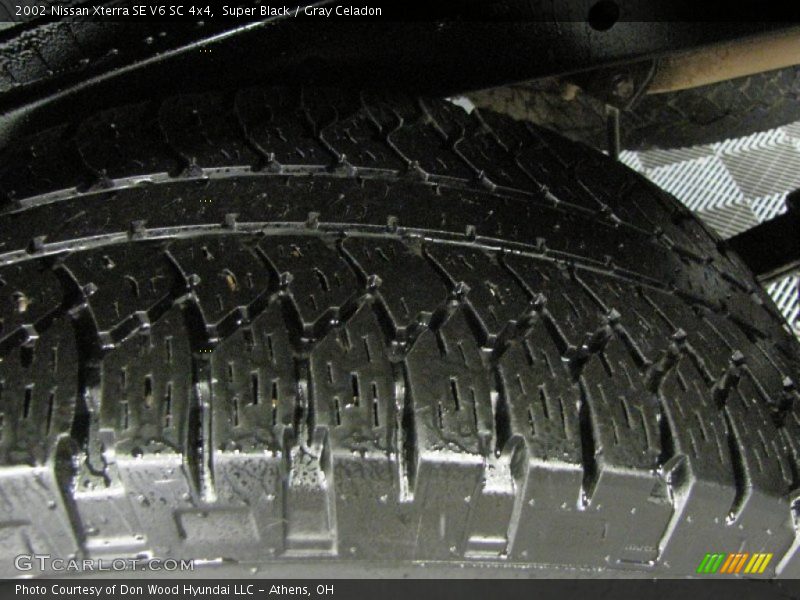 Super Black / Gray Celadon 2002 Nissan Xterra SE V6 SC 4x4