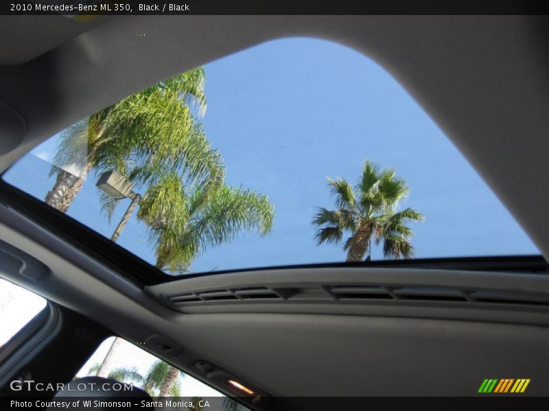 Black / Black 2010 Mercedes-Benz ML 350