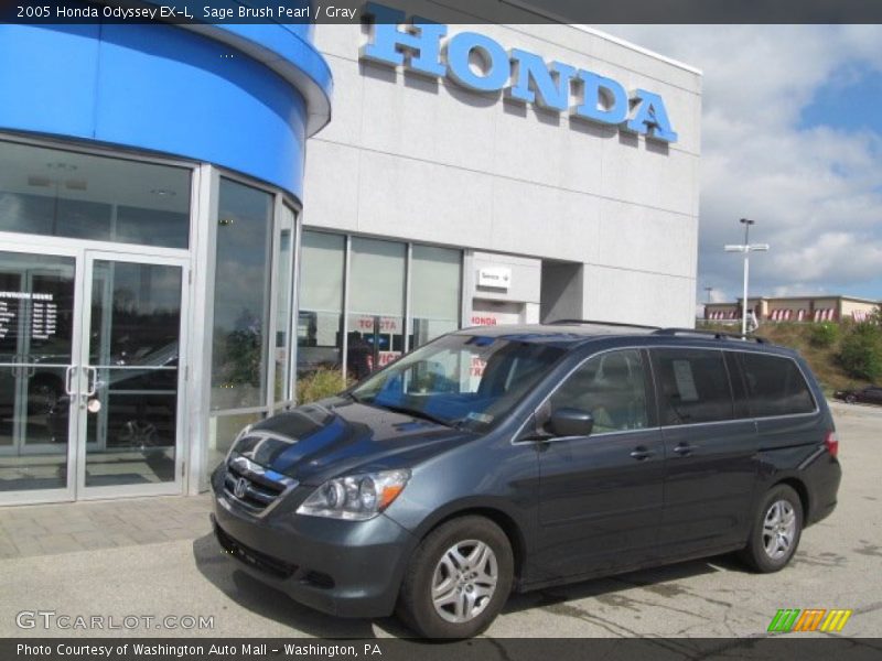 Sage Brush Pearl / Gray 2005 Honda Odyssey EX-L