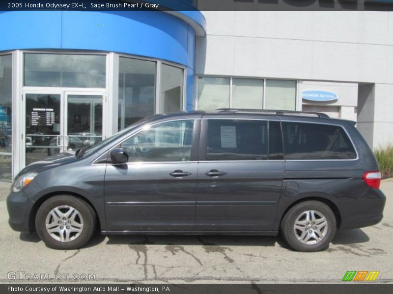 Sage Brush Pearl / Gray 2005 Honda Odyssey EX-L