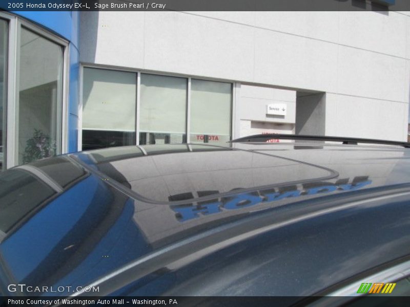 Sage Brush Pearl / Gray 2005 Honda Odyssey EX-L