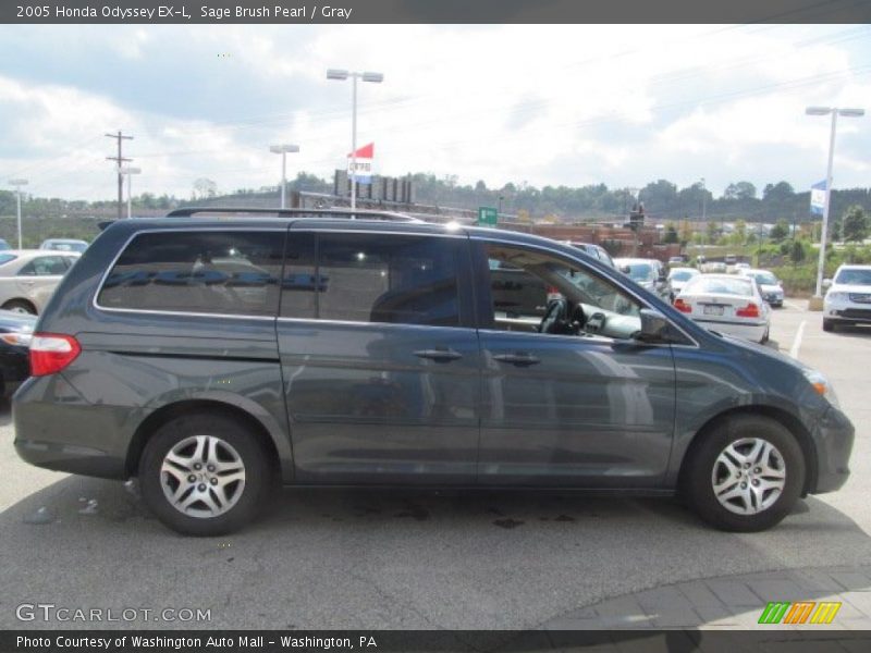 Sage Brush Pearl / Gray 2005 Honda Odyssey EX-L