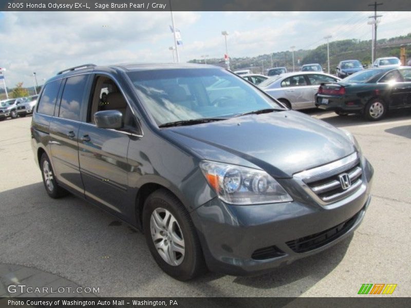 Sage Brush Pearl / Gray 2005 Honda Odyssey EX-L