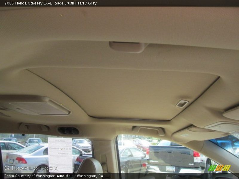 Sage Brush Pearl / Gray 2005 Honda Odyssey EX-L
