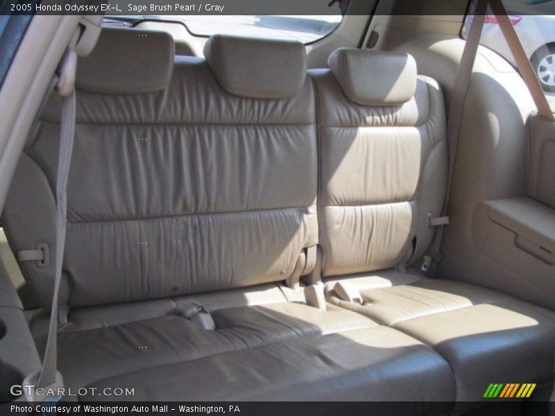 Sage Brush Pearl / Gray 2005 Honda Odyssey EX-L