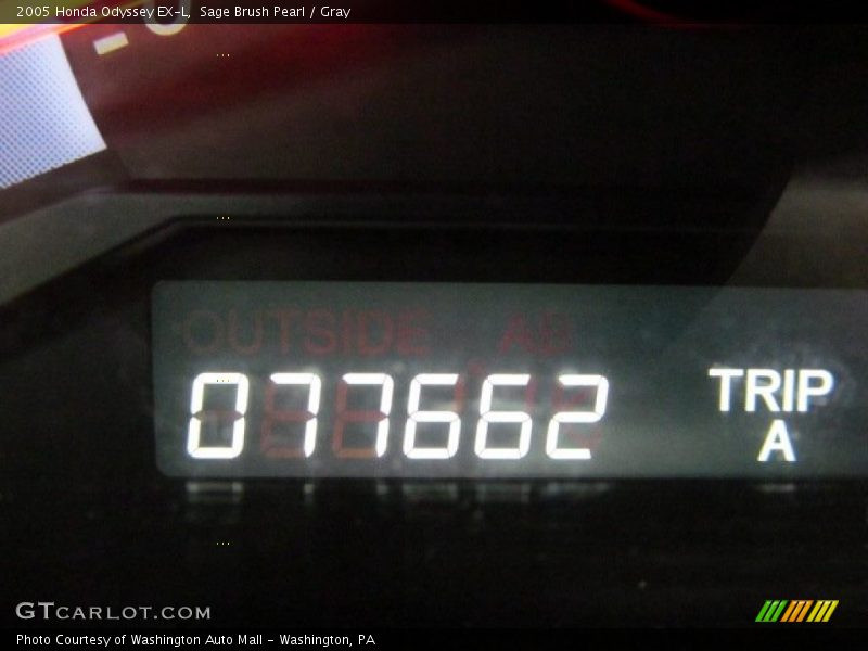 Sage Brush Pearl / Gray 2005 Honda Odyssey EX-L