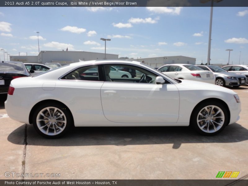 Ibis White / Velvet Beige/Moor Brown 2013 Audi A5 2.0T quattro Coupe