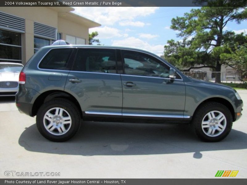 Reed Green Metallic / Pure Beige 2004 Volkswagen Touareg V8