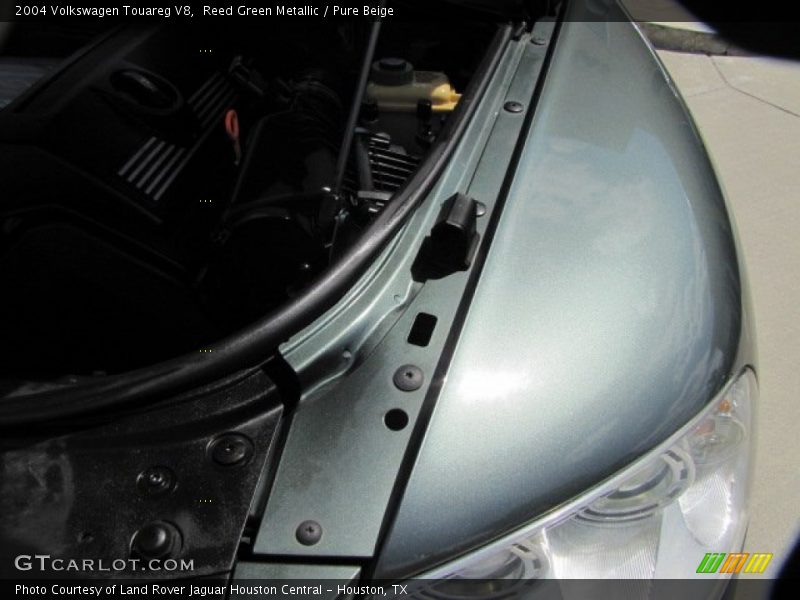 Reed Green Metallic / Pure Beige 2004 Volkswagen Touareg V8