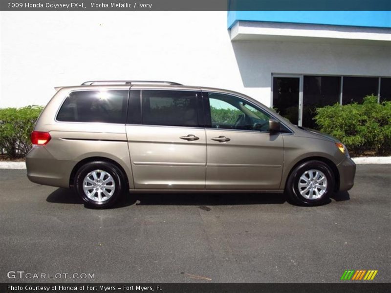 Mocha Metallic / Ivory 2009 Honda Odyssey EX-L