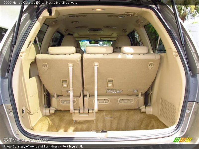Mocha Metallic / Ivory 2009 Honda Odyssey EX-L