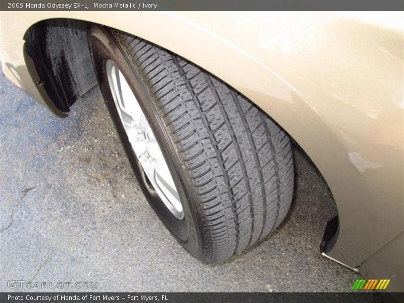 Mocha Metallic / Ivory 2009 Honda Odyssey EX-L