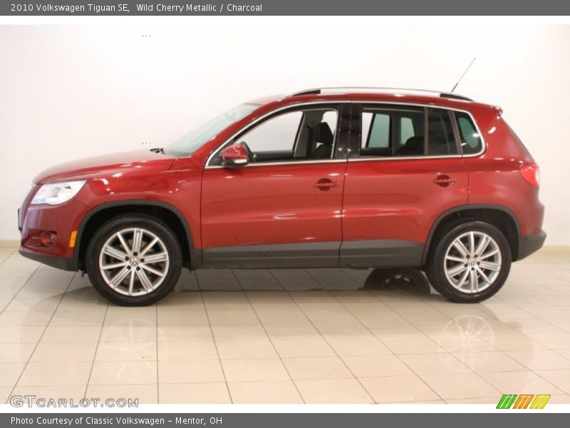 Wild Cherry Metallic / Charcoal 2010 Volkswagen Tiguan SE