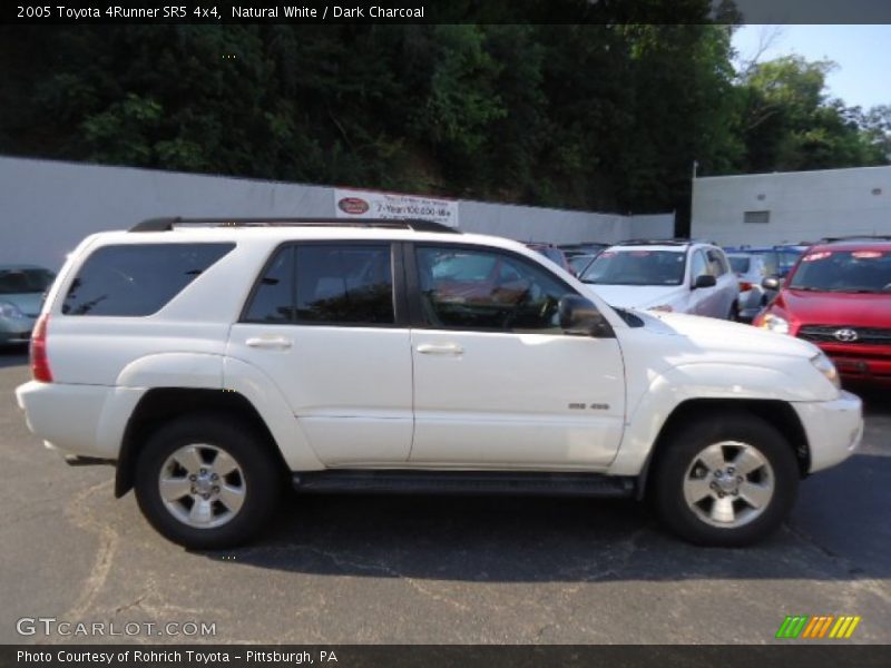Natural White / Dark Charcoal 2005 Toyota 4Runner SR5 4x4