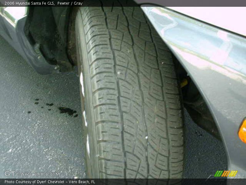 Pewter / Gray 2006 Hyundai Santa Fe GLS