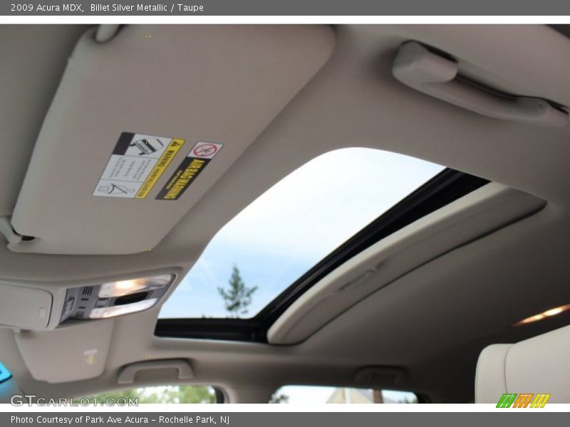 Billet Silver Metallic / Taupe 2009 Acura MDX