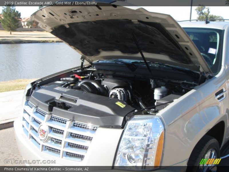 Gold Mist / Ebony/Ebony 2009 Cadillac Escalade AWD