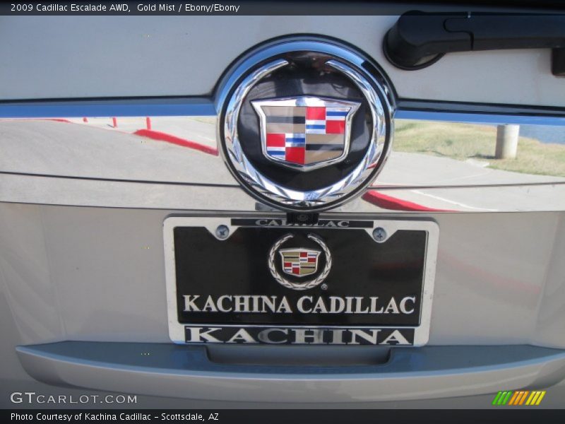 Gold Mist / Ebony/Ebony 2009 Cadillac Escalade AWD