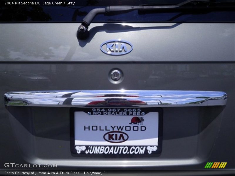 Sage Green / Gray 2004 Kia Sedona EX