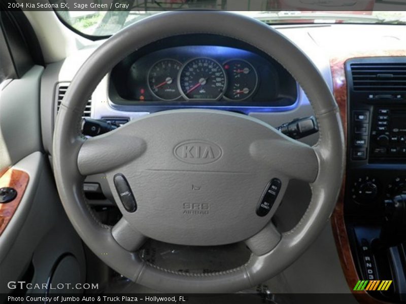 Sage Green / Gray 2004 Kia Sedona EX