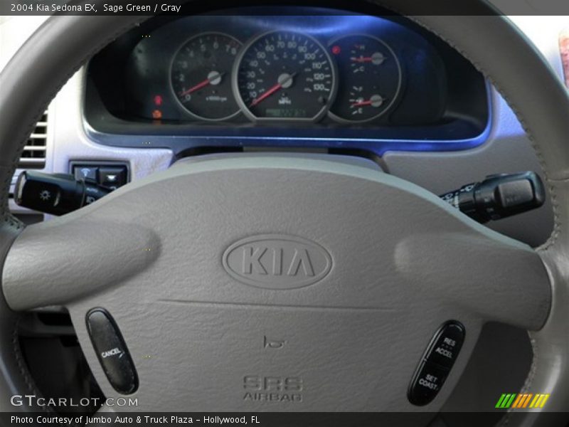 Sage Green / Gray 2004 Kia Sedona EX