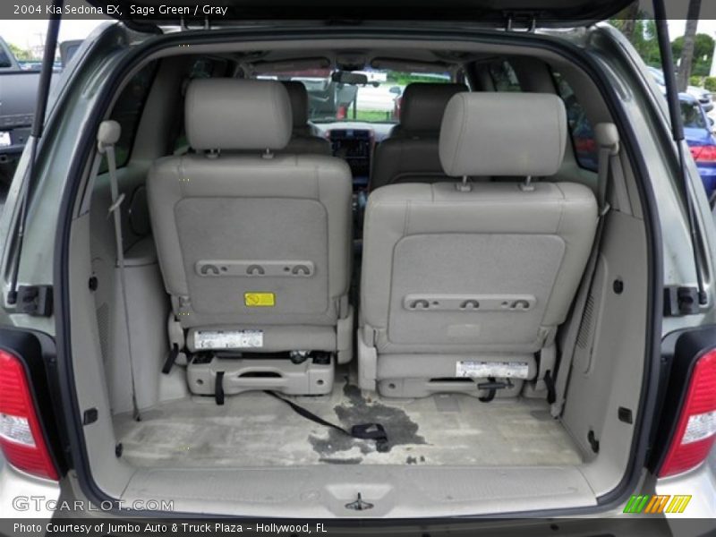Sage Green / Gray 2004 Kia Sedona EX
