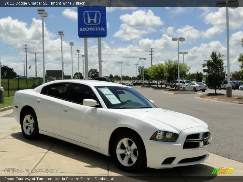 Bright White / Black 2011 Dodge Charger SE