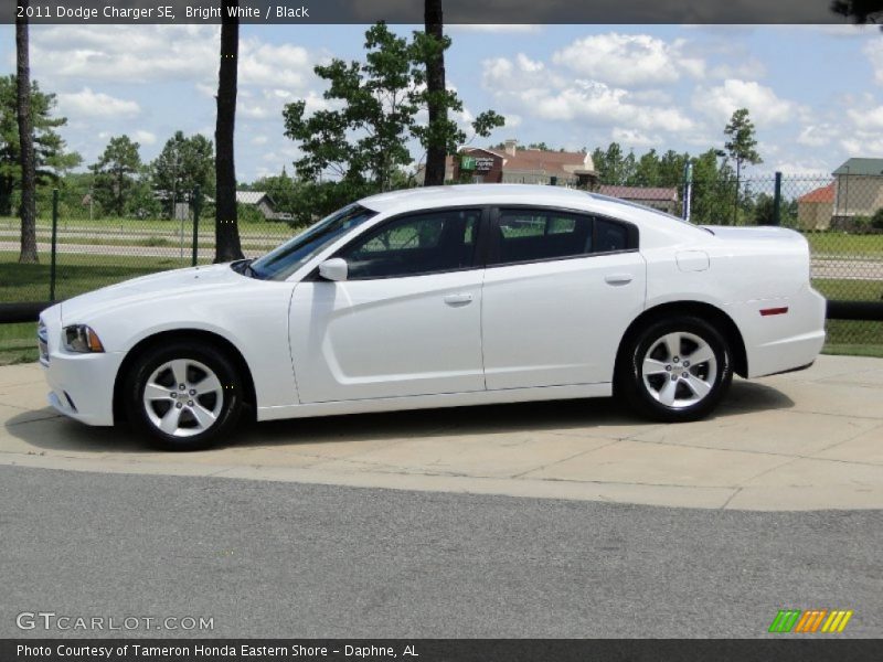 Bright White / Black 2011 Dodge Charger SE