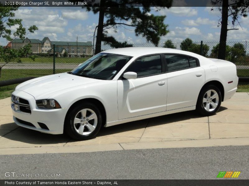 Bright White / Black 2011 Dodge Charger SE