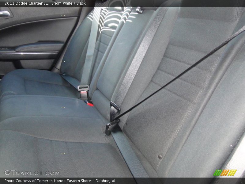 Bright White / Black 2011 Dodge Charger SE