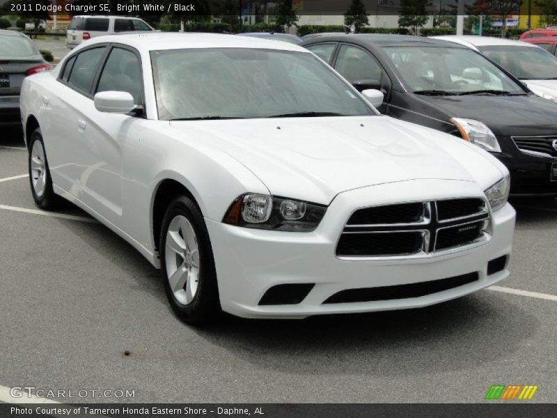 Bright White / Black 2011 Dodge Charger SE
