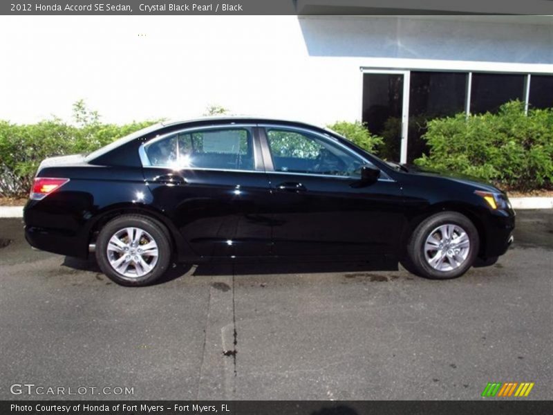 Crystal Black Pearl / Black 2012 Honda Accord SE Sedan