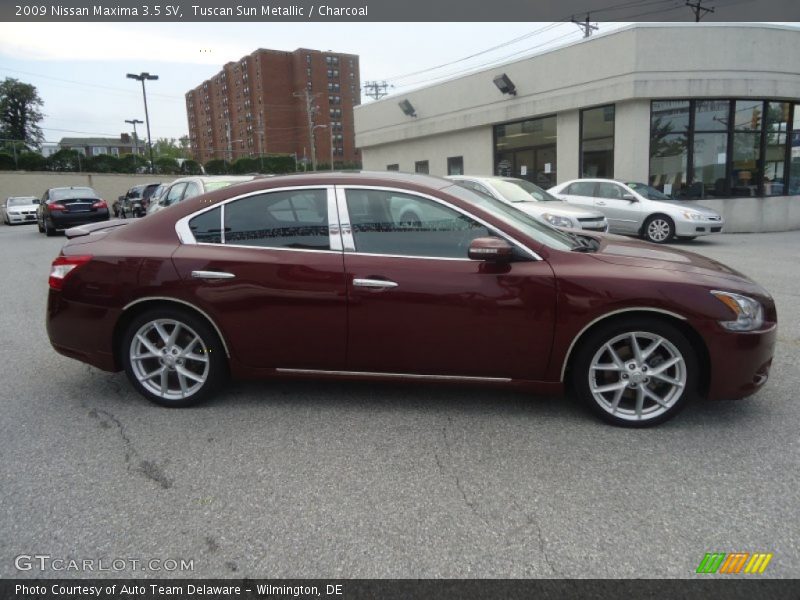 Tuscan Sun Metallic / Charcoal 2009 Nissan Maxima 3.5 SV
