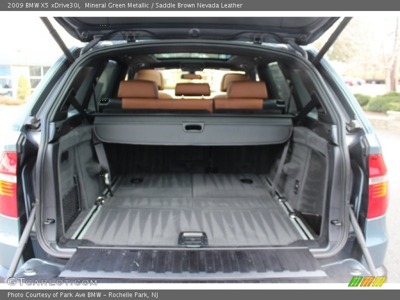 Mineral Green Metallic / Saddle Brown Nevada Leather 2009 BMW X5 xDrive30i