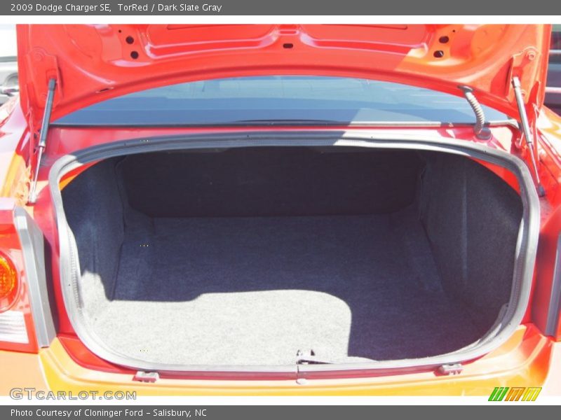 TorRed / Dark Slate Gray 2009 Dodge Charger SE