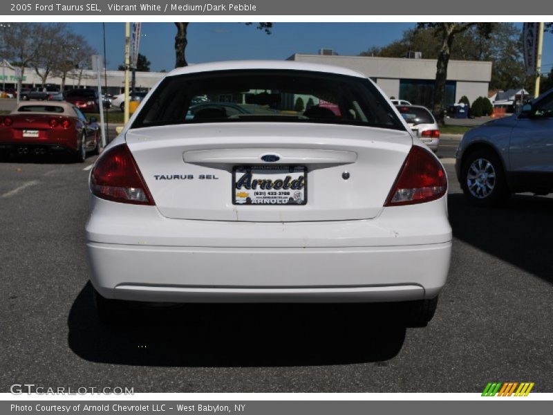 Vibrant White / Medium/Dark Pebble 2005 Ford Taurus SEL
